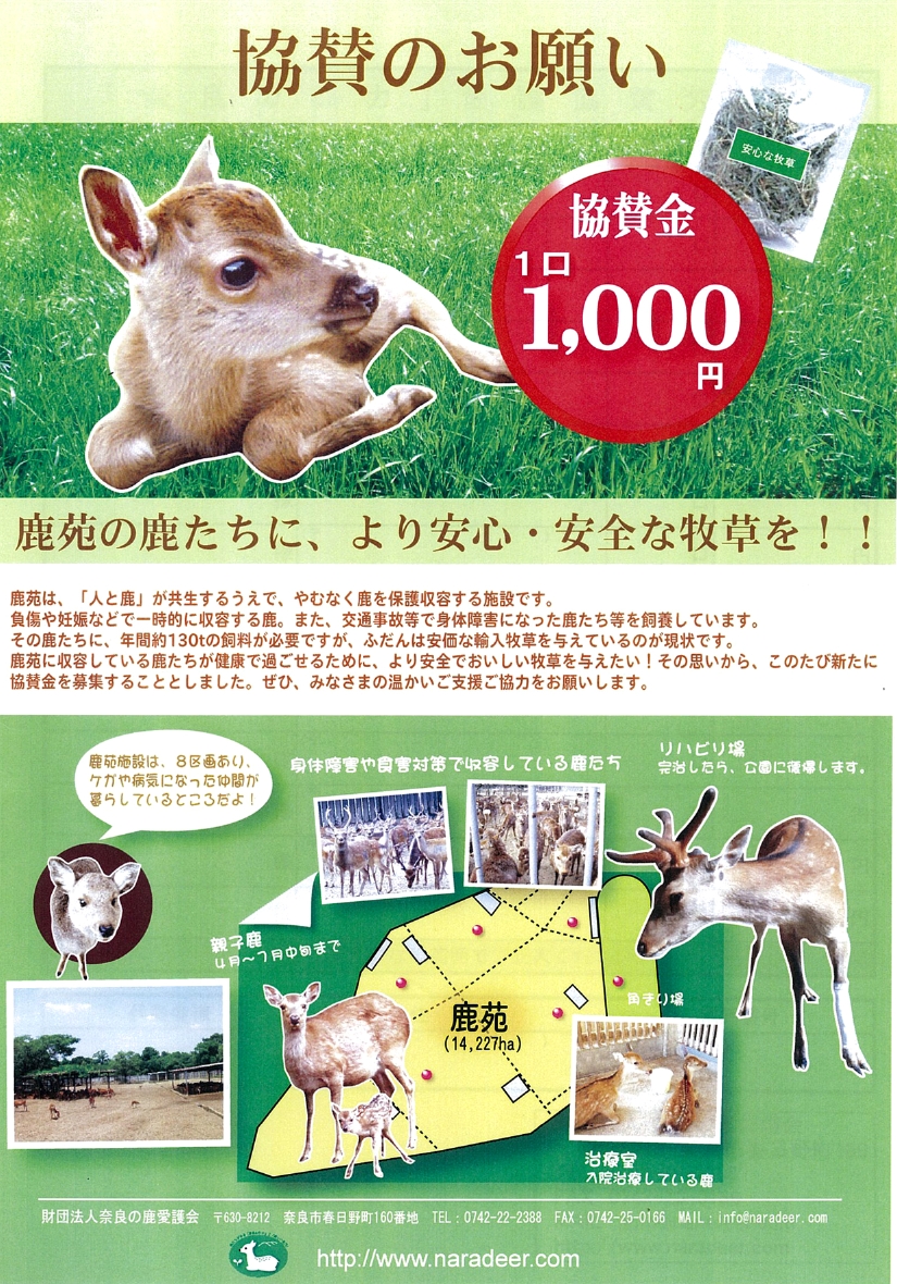 鹿苑.jpg