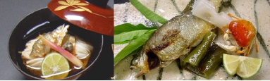 昼食バナー.jpg